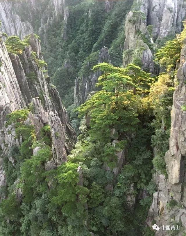 2位幸运的陕西男人，他们都娶了“跳水皇后”，太幸福了